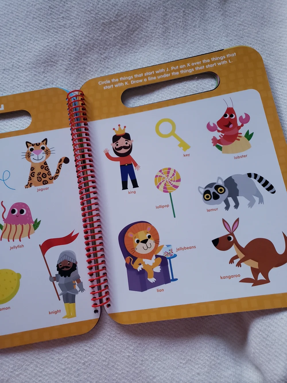 My First Search & Find ABC and 123 Wipe-Clean Activity Books